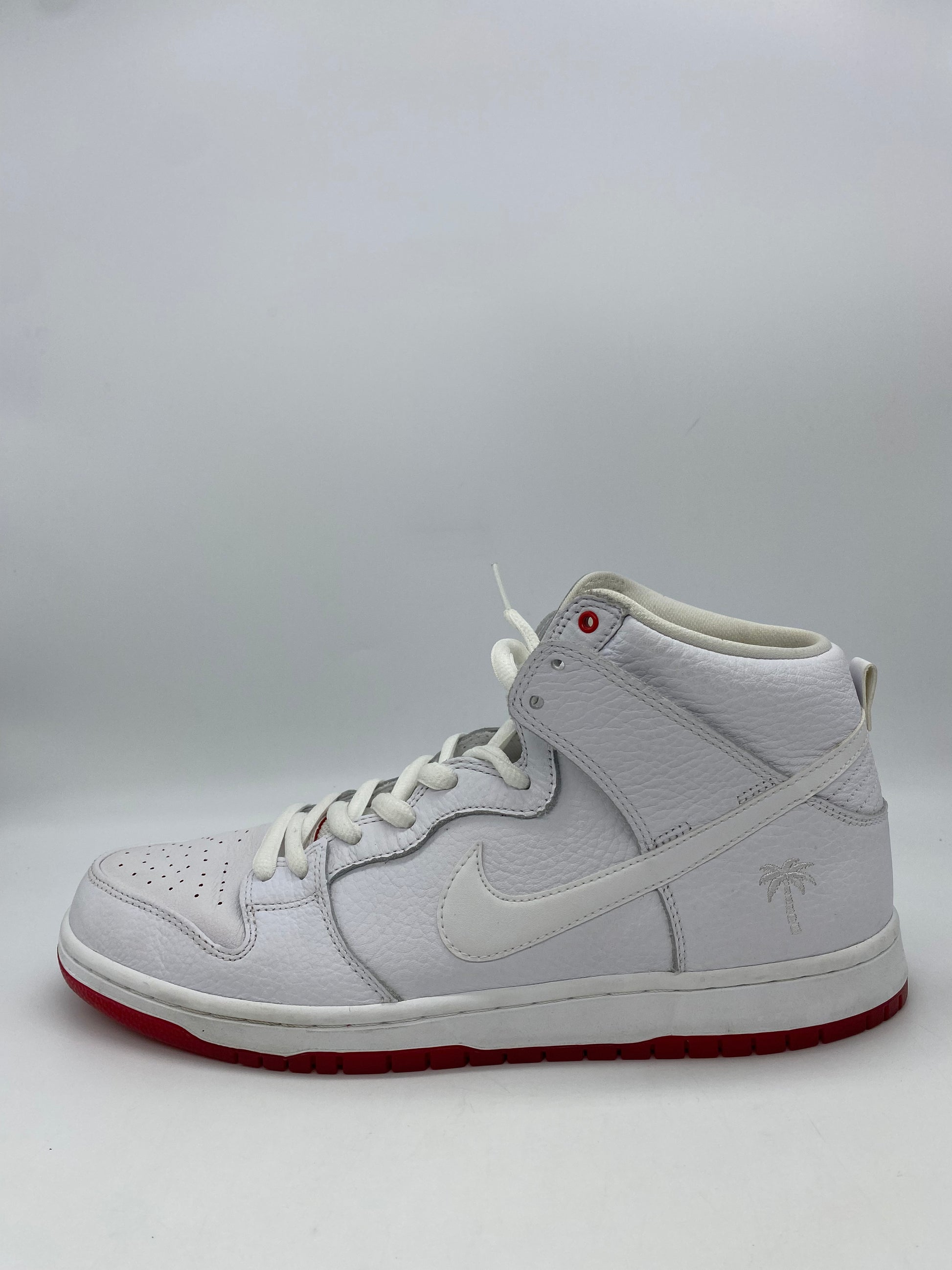 Nike SB Dunk High Kevin Bradley Footage Society